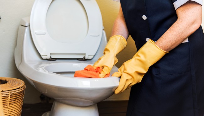 What Is the Best Drain Cleaner for Your Toilets