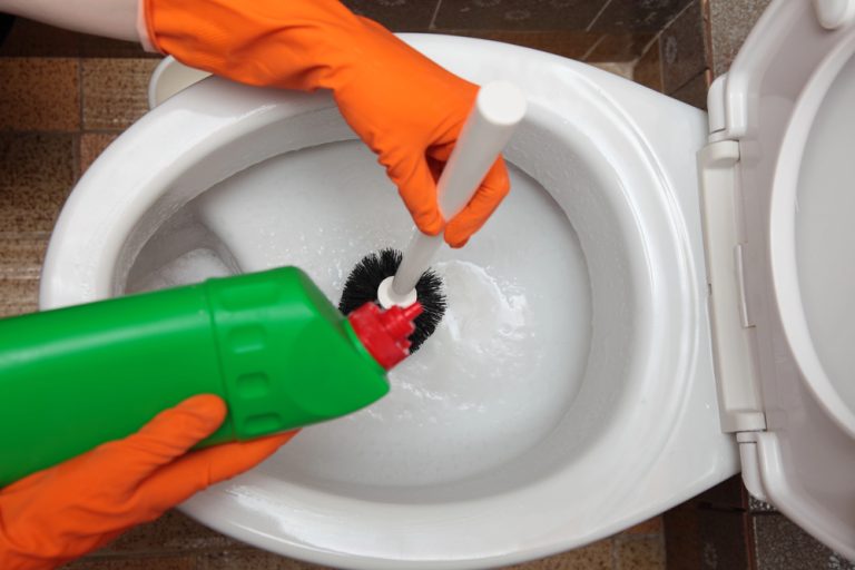 What Is The Best Drain Cleaner For Your Toilets?